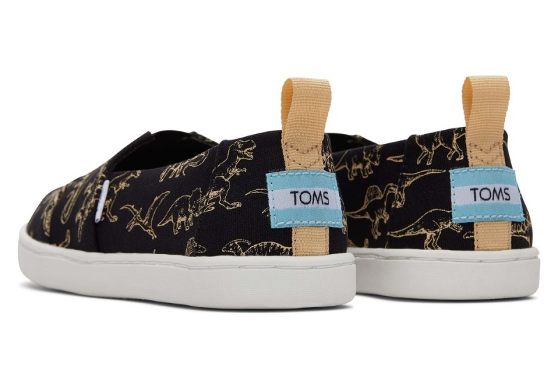 Toms Alpargata Black | WYVQAC-036