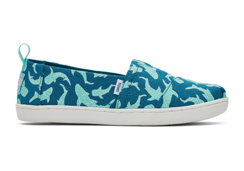 Toms Alpargata Multicolor | QOSRZV-413