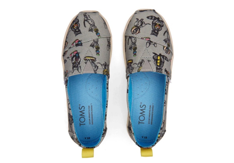 Toms Alpargata Party Animals Deep Grey | REYQMP-059