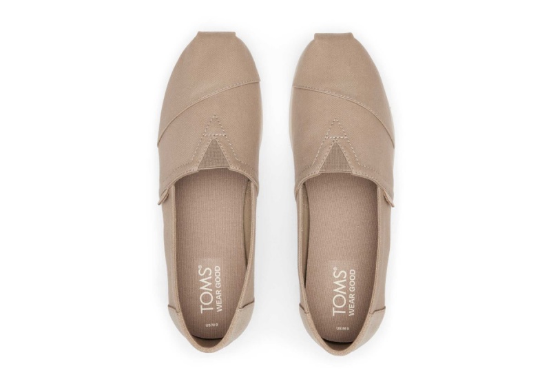 Toms Alpargata Suede Brushed Twill Grey Brown | NGSQFD-695