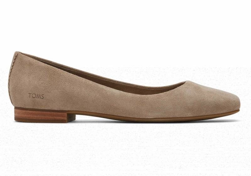 Toms Briella Suede Flat Grey Brown | UVLNDE-724