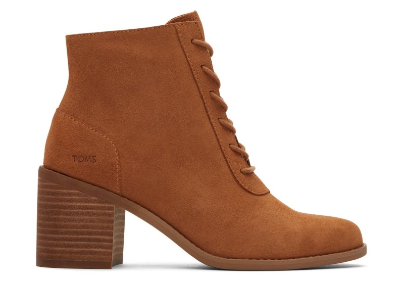 Toms Evelyn Suede Lace-Up Heeled Boot Brown | WRHJLZ-293