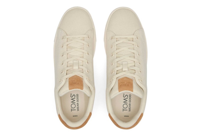 Toms TRVL LITE Cream Suede Lace-Up Sneaker Cream | VOAHJD-731