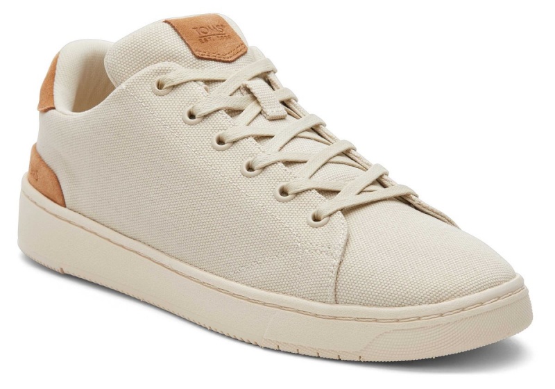 Toms TRVL LITE Cream Suede Lace-Up Sneaker Cream | VOAHJD-731